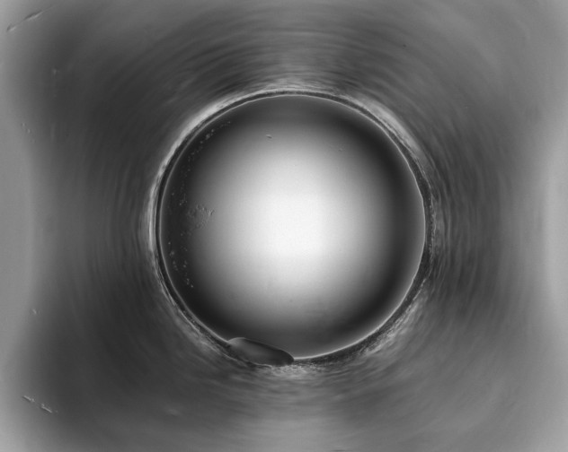 X0000094061246200710191055