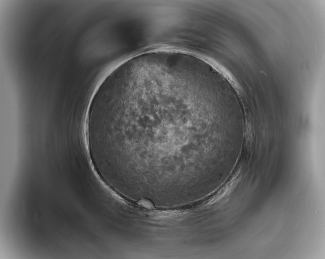 X0000094061247200710191055