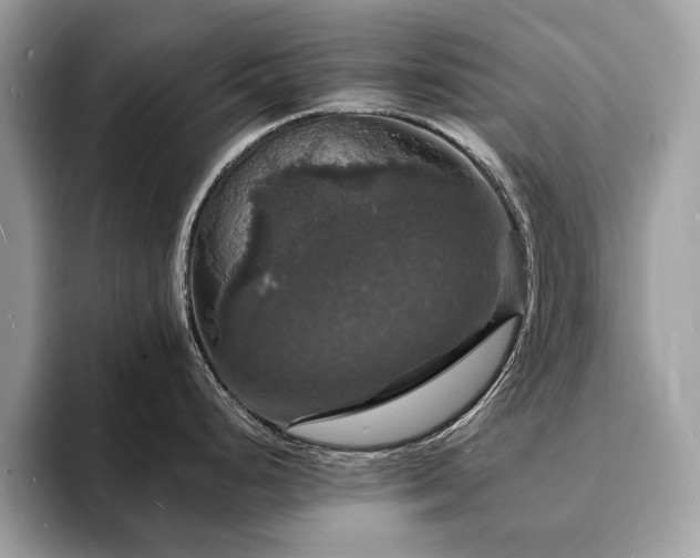 X0000094061248200710191055
