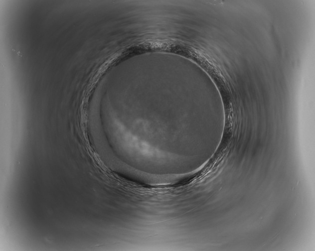 X0000094061249200710191055