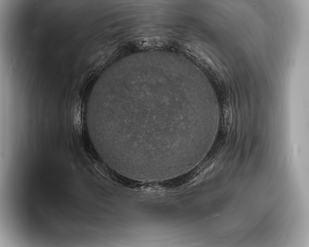 X0000094061250200710191055
