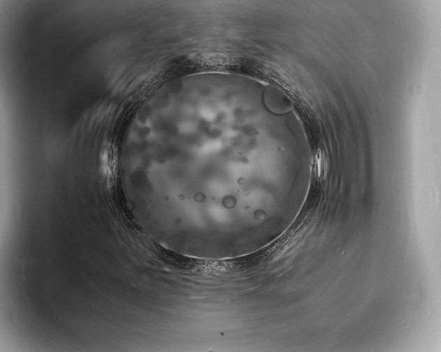 X0000094061251200710191055
