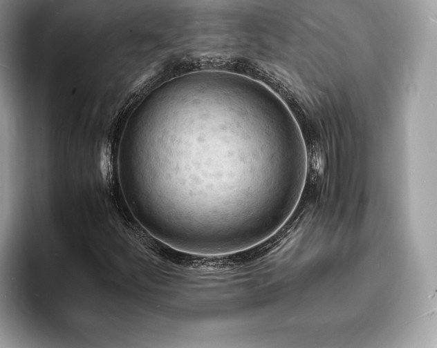 X0000094061252200710191055