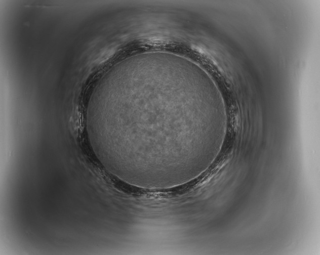 X0000094061253200710191055