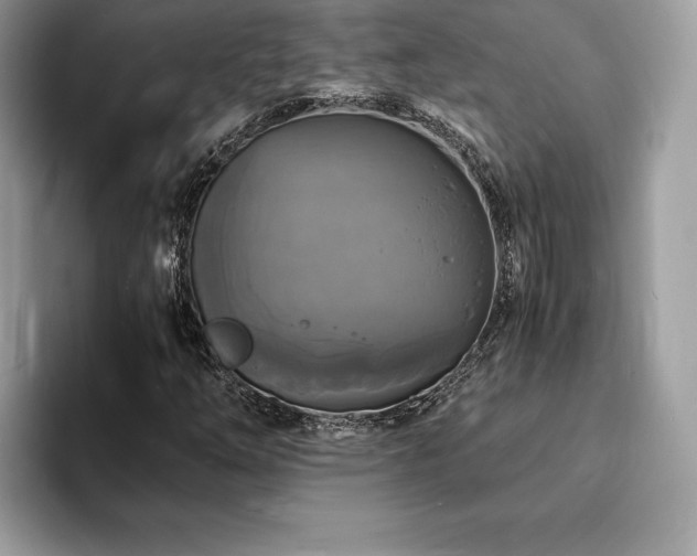 X0000094061254200710191055