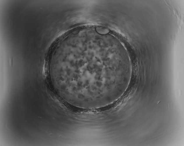 X0000094061255200710191055