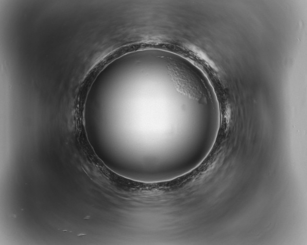 X0000094061256200710191055
