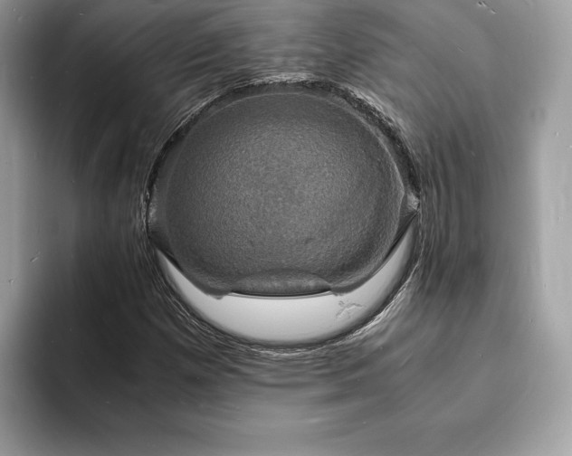 X0000094061257200710191055