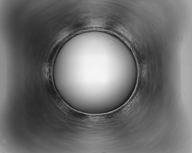 X0000094061258200710191055