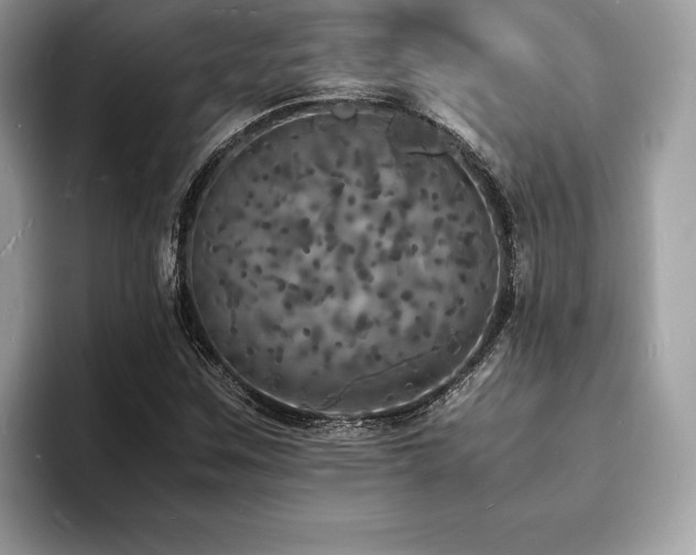 X0000094061259200710191055