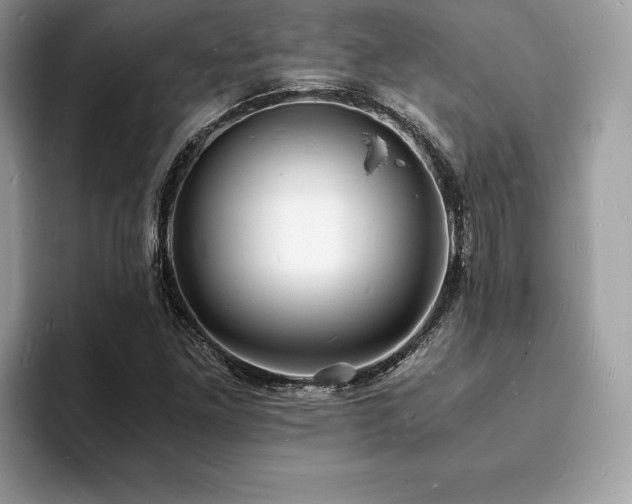 X0000094061261200710191055
