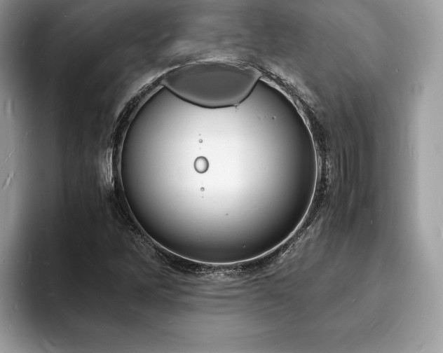 X0000094061262200710191055
