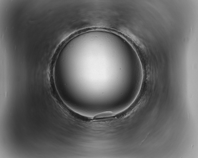 X0000094061264200710191055