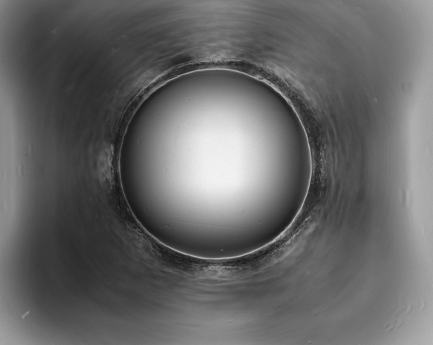 X0000094061265200710191055