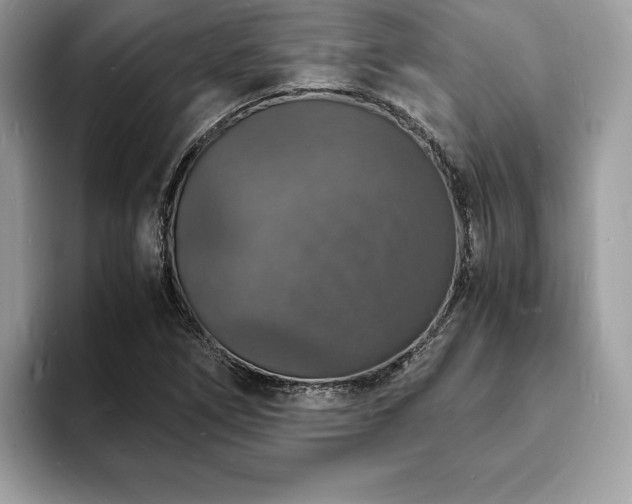 X0000094061266200710191055