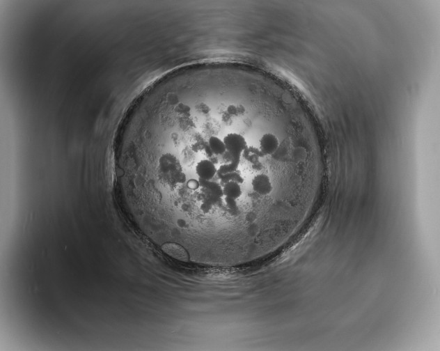 X0000094061267200710191055