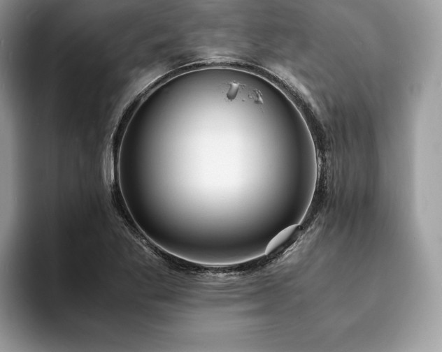 X0000094061269200710191055