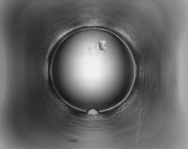 X0000094061270200710191055