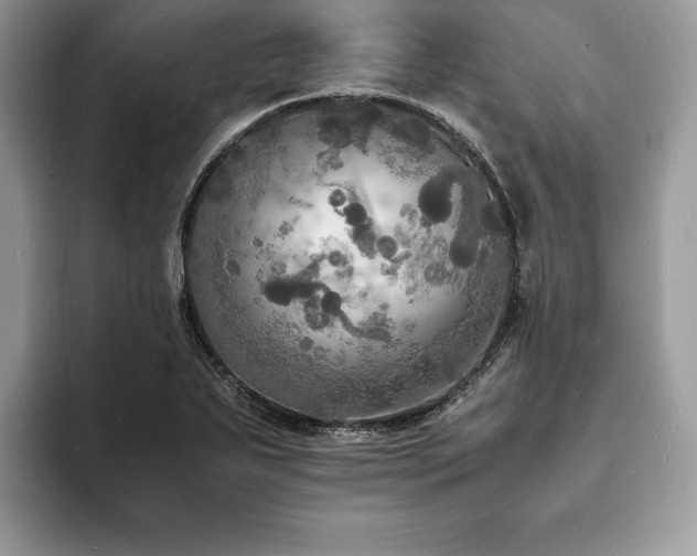 X0000094061271200710191055