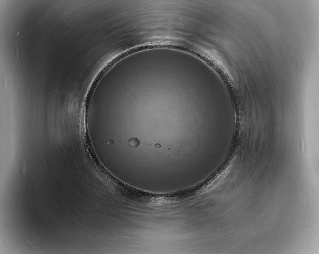 X0000094061275200710191055