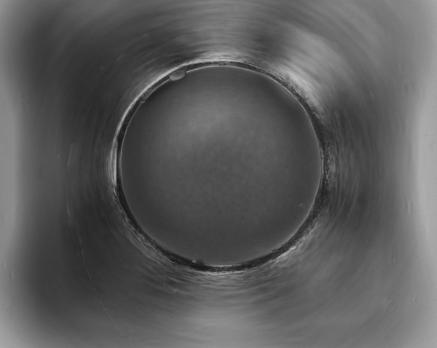 X0000094061276200710191055
