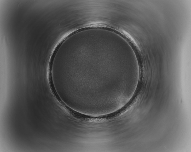 X0000094061277200710191055