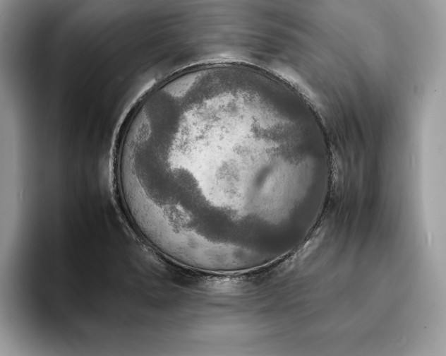 X0000094061278200710191055