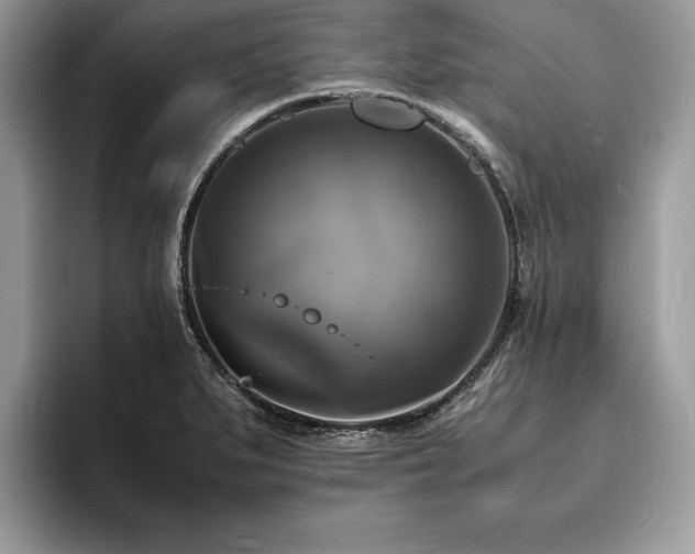 X0000094061279200710191055