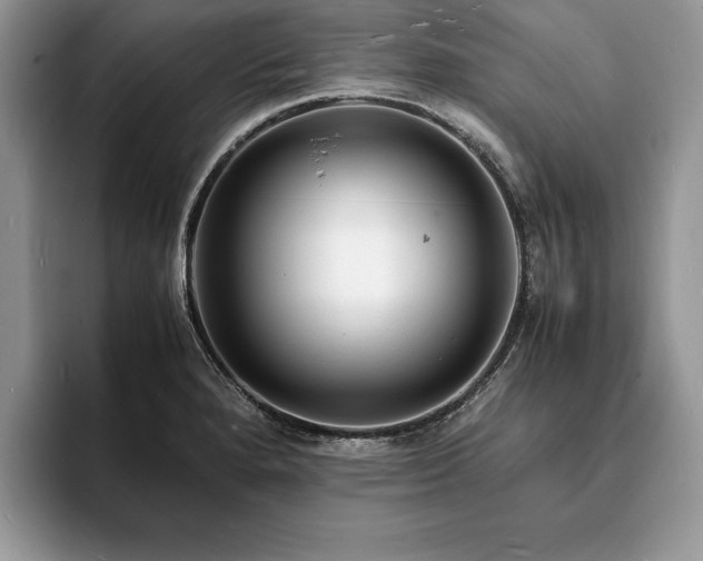 X0000094061280200710191054