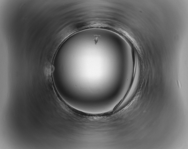 X0000094061281200710191054