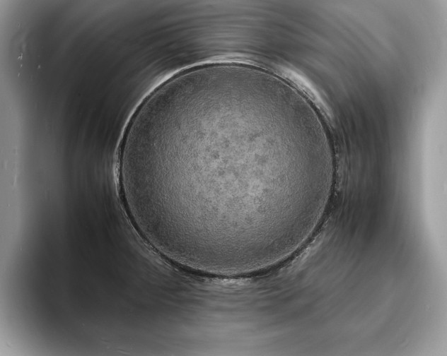 X0000094061284200710191054