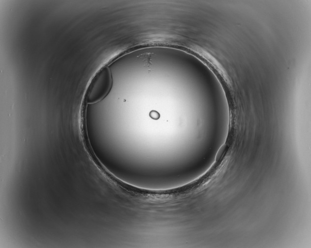 X0000094061285200710191054
