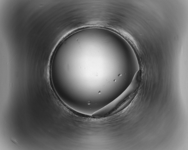 X0000094061288200710191054