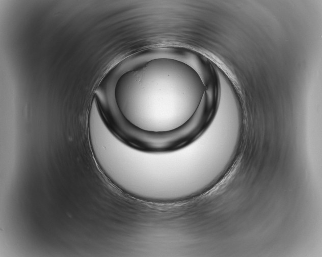 X0000094061289200710191054