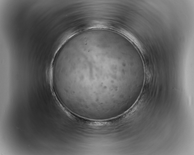 X0000094061290200710191054