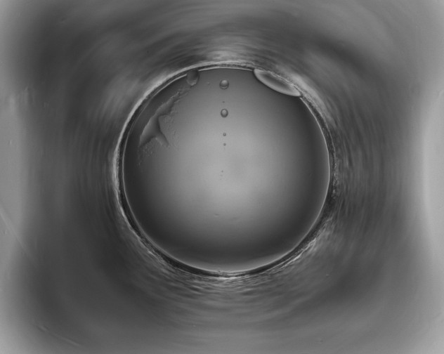 X0000094061291200710191054
