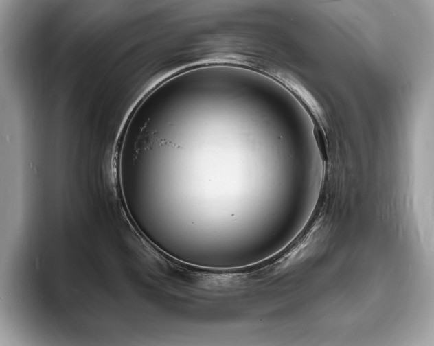 X0000094061292200710191054