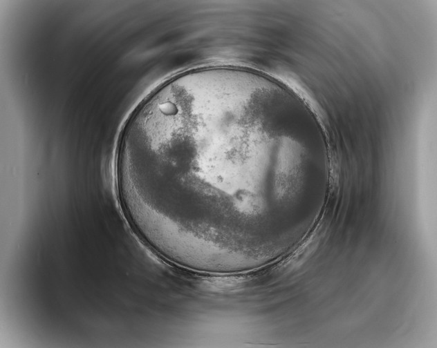 X0000094061294200710191054