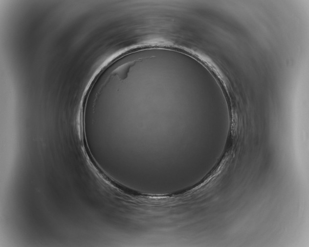 X0000094061295200710191054