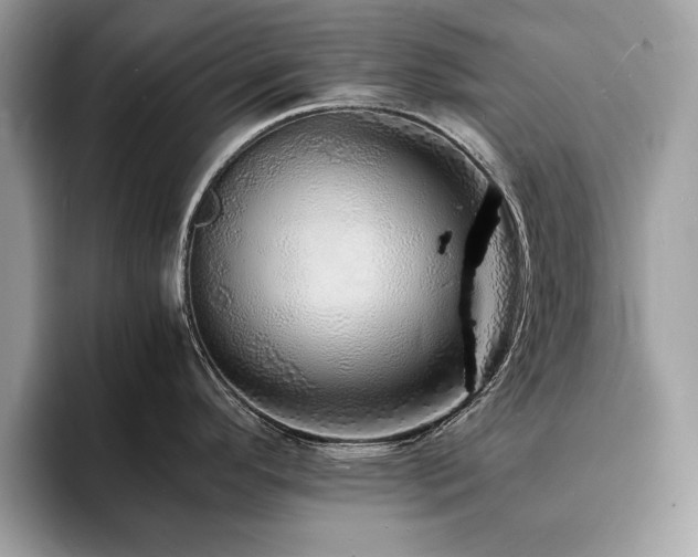 X0000094061296200710191054