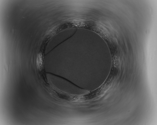 X0000094061298200710191054