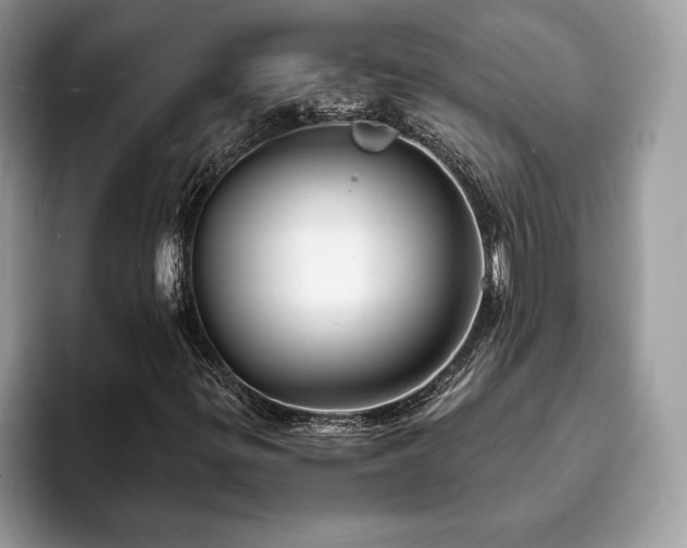 X0000094061299200710191054