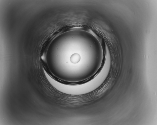 X0000094061300200710191054