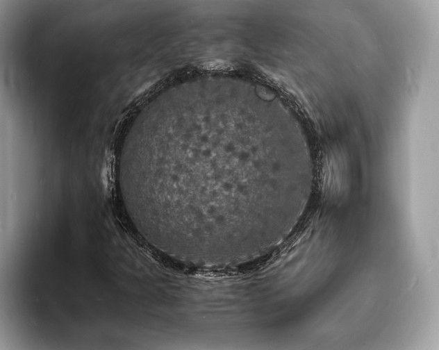 X0000094061301200710191054