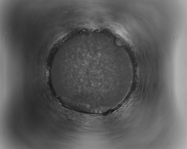 X0000094061302200710191054