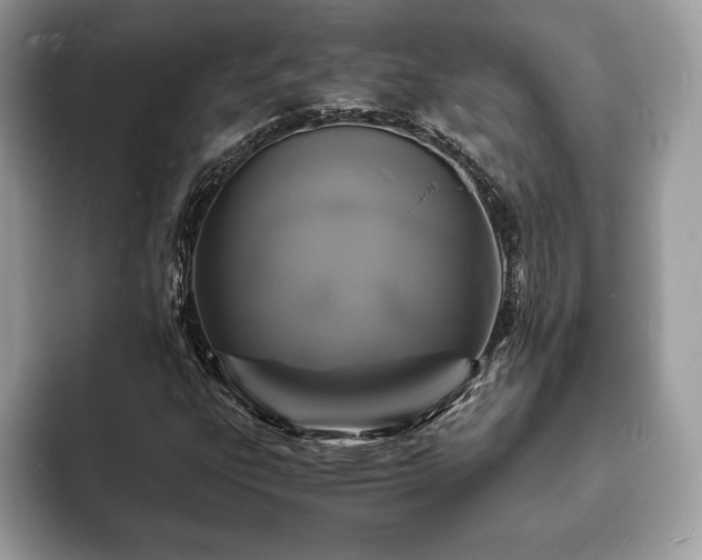 X0000094061303200710191054