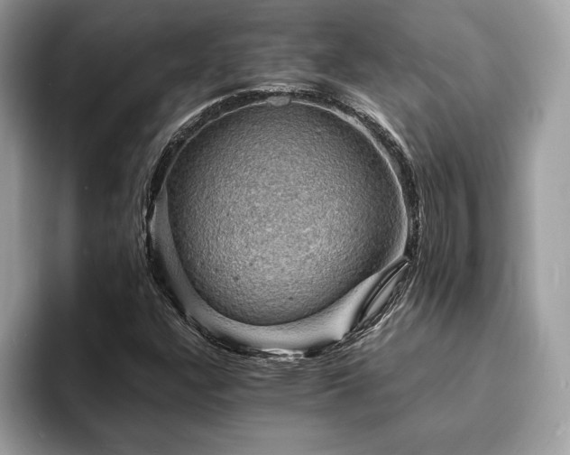 X0000094061304200710191054