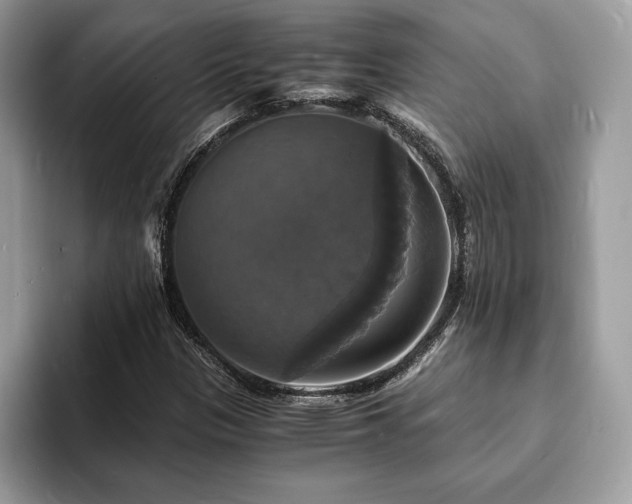 X0000094061305200710191054
