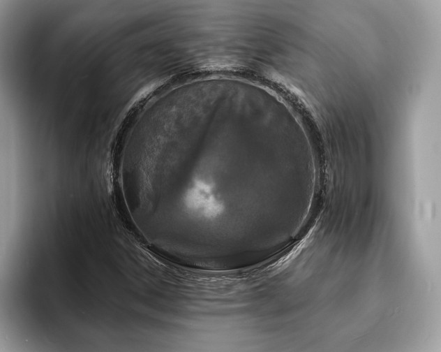 X0000094061306200710191054