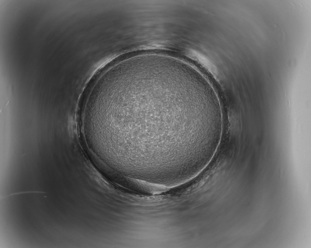 X0000094061308200710191054